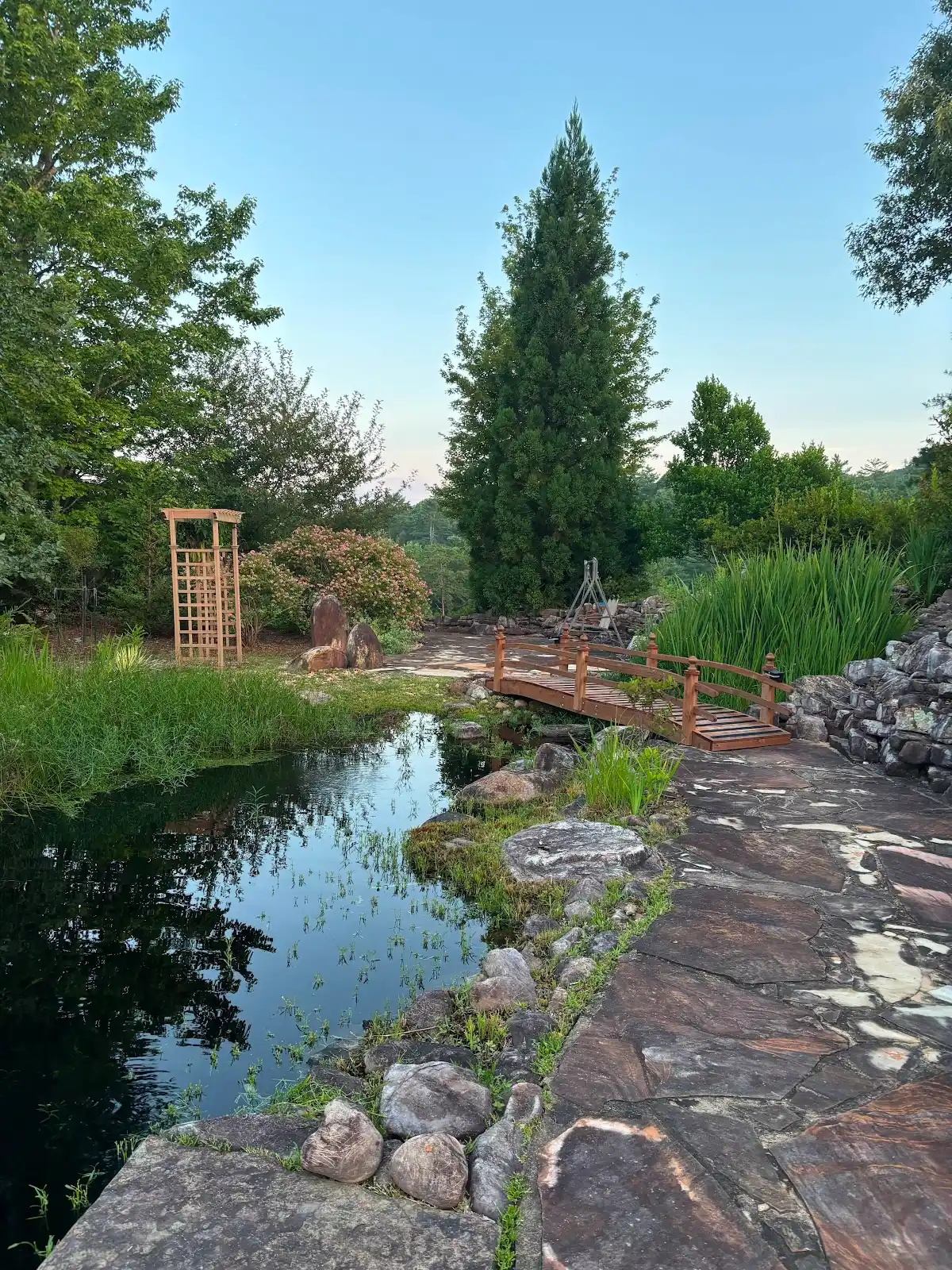 Nature Immersion Landscape