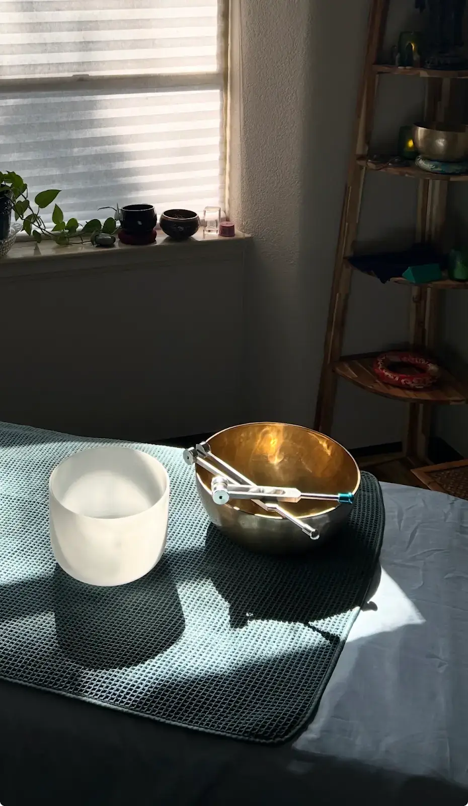 Meditate Workshop Session